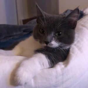 Meet your Posher, Edward